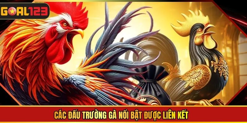 Các đấu trường gà nổi bật được liên kết 
