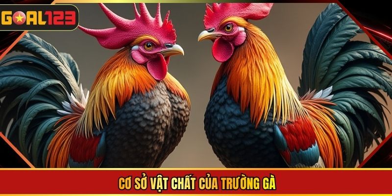 Cơ sở vật chất của trường gà 