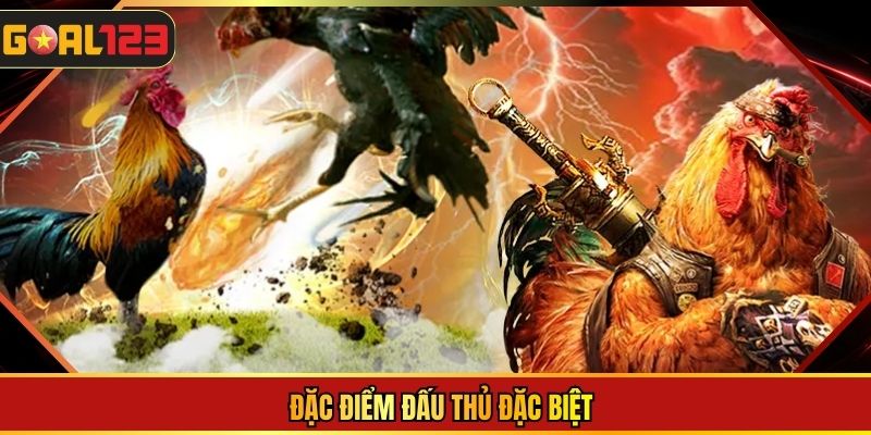 Đặc điểm đấu thủ đặc biệt