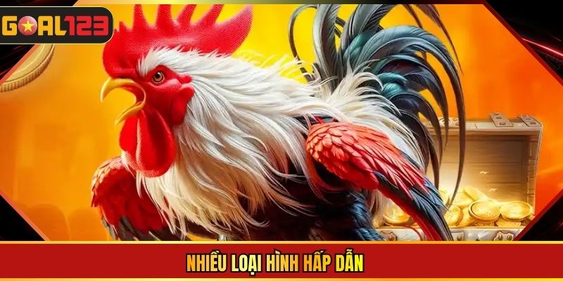 Nhiều loại hình hấp dẫn